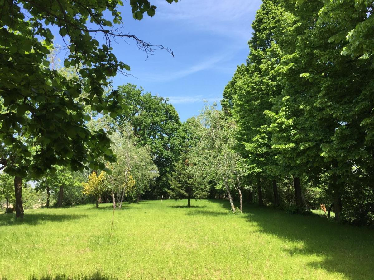 Happy Hill - Appartamento Bambu- Natura E Relax Santa Maria Rocca Exterior photo