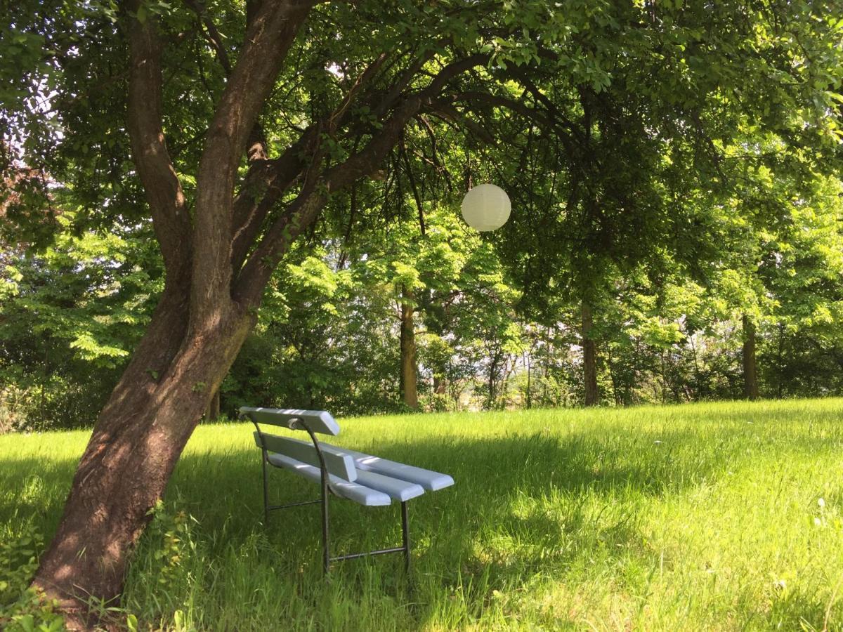 Happy Hill - Appartamento Bambu- Natura E Relax Santa Maria Rocca Exterior photo